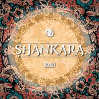 Artwork for Shankara by Black 21