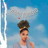 Artwork for Toyin Tomato by Riikardo