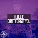 Artwork for Can't Forget You (Original Mix)