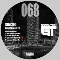 Artwork for Resistance EP by Sincro