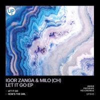 Artwork for Let It Go EP by Igor Zanga