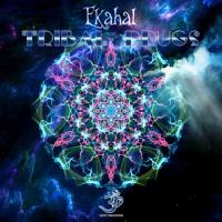 Artwork for Tribal Drugs by Ekahal