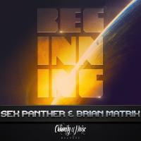 Artwork for The Beginning by Sex Panther
