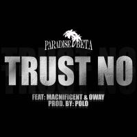 Artwork for Trust No (feat. Macnificent & Oway) by Paradise Beta