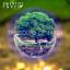 Artwork for Living In A Dream (Gym Mix)