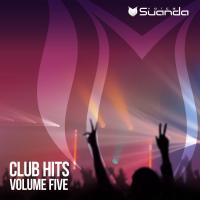 Artwork for Club Hits, Vol. 5 by Various Artists