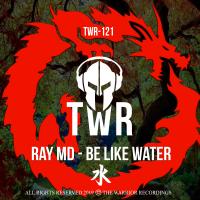 Artwork for BE LIKE WATER by Ray MD