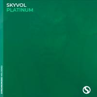 Artwork for Platinum by Skyvol