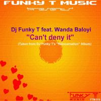 Artwork for Can't Deny It by Dj Funky T