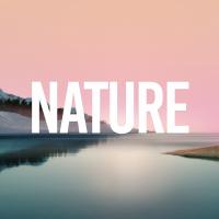 Artwork for Nature by Rain Sounds