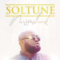Artwork for MIMSHACK by Soltune