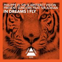 Artwork for In Dreams I Fly by Philippe El Sisi