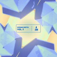 Artwork for Spring Depth ; Vol.1 by Various Artists