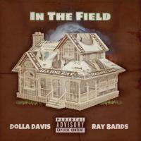 Artwork for In The Field by Ray Bands