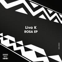 Artwork for Rosa EP by Liva K