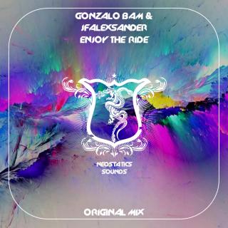 Artwork for Enjoy The Ride (Original Mix)