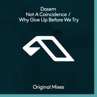 Artwork for Not A Coincidence / Why Give Up Before We Try by Dosem