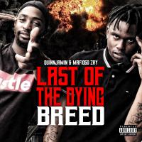 Artwork for Last of the Dying Breed by Quinnjamin