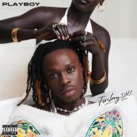 Artwork for Playboy by Fireboy DML