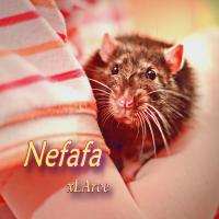 Artwork for Nefafa by Xlarve
