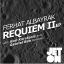 Artwork for Requiem II (Original Mix)