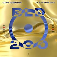 Artwork for It's A Fine Day by John Gibbons