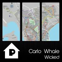 Artwork for Wicked by Carlo Whale