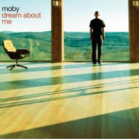 Artwork for Dream About Me / Feeling So Real by Moby