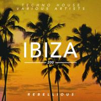 Artwork for Ibiza by Various Artists