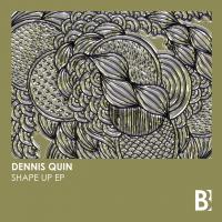 Artwork for Shape Up EP by Dennis Quin