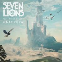 Artwork for Only Now (feat. Tyler Graves) by Seven Lions