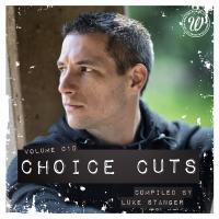 Artwork for Choice Cuts, Vol. 010 Compiled by Luke Stanger by Various Artists