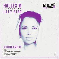 Artwork for Stirring Me Up by Hallex M