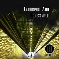 Artwork for Tagurpidi Auh by Forexample