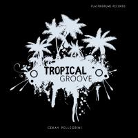 Artwork for Tropical Groove by Cekay Pellegrini