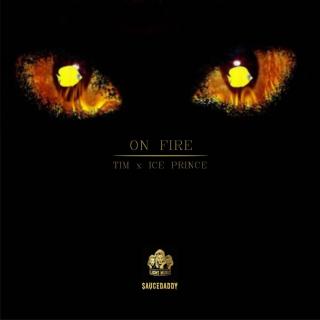 Artwork for On fire 