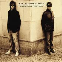 Artwork for B-Sides and Live (2001 - 2005) by Echo And The Bunnymen
