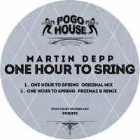 Artwork for One Hour To Spring by Martin Depp