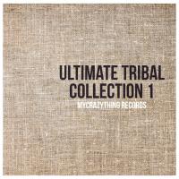 Artwork for Ultimate Tribal Collection 1 by Various Artists