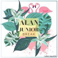 Artwork for Break by Alan Junior