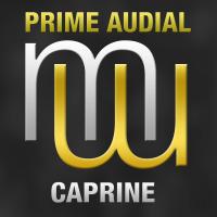 Artwork for Caprine (Radio Edit) by Prime Audial