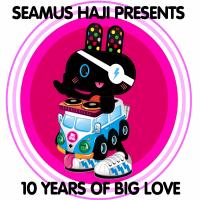 Artwork for Seamus Haji Presents 10 Years of Big Love by Various Artists