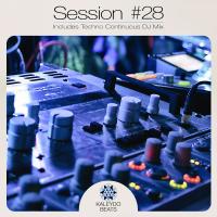 Artwork for Kaleydo Beats Session #28 by Various Artists