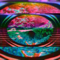 Artwork for Patella by Hammer
