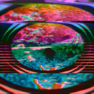 Artwork for Patella (Original Mix)