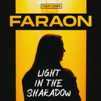 Artwork for Light In The Shadow by Faraon