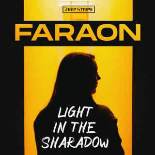 Artwork for Light In The Shadow (Original Mix)