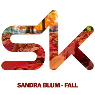 Artwork for Fall (Original Mix)