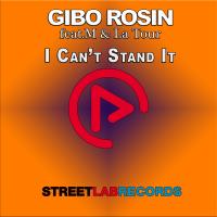 Artwork for I Can't Stand It by Gibo Rosin