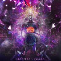 Artwork for Indigo by Spectree